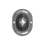 Iron