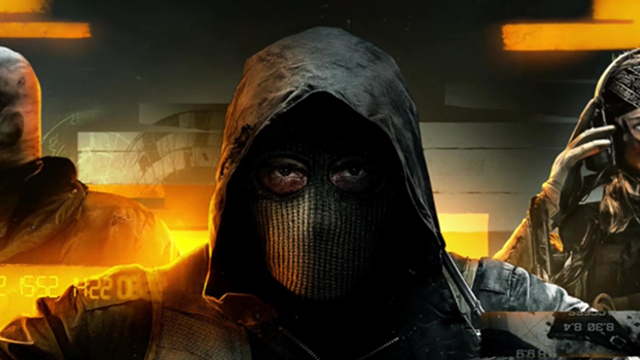 Call of Duty Warzone Pro Duo